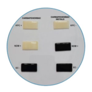 Carbapenembac/Carba Metalo