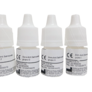 Salmonella flagellar