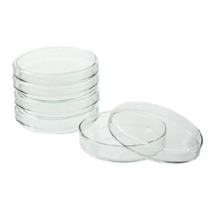 Placa de petri descartável